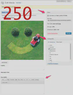 WordPress 3.5 Media Editor with the Category taxonomy enabled for the attachment post type.