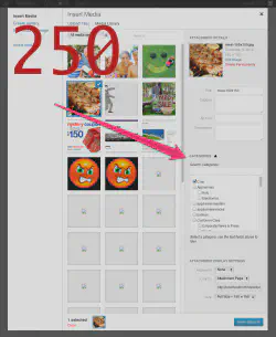 After Media Categories 1.5 is turned on.